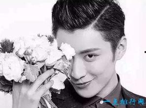 娱乐男明星人气排行榜投票,最新娱乐男明星人气排行榜揭晓